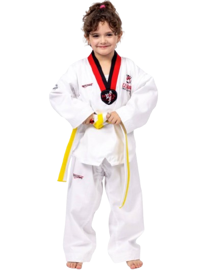 taekwodo kid dressed posing